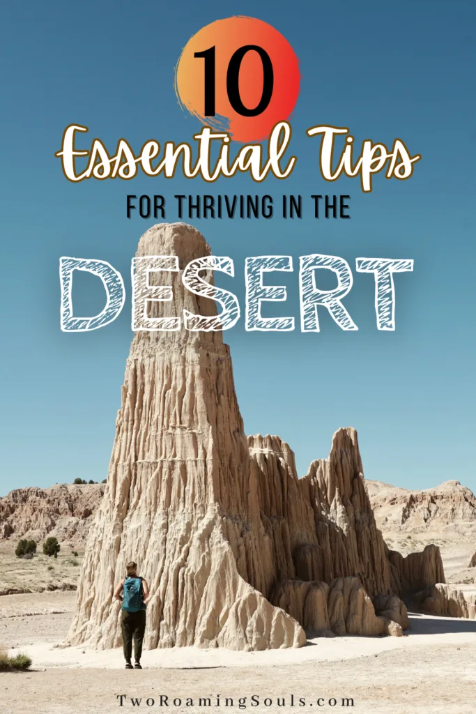 10 Essential Tips For Thriving In The Desert
