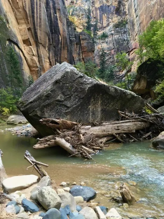 The Virgin River has the power to move massive boulder and trees.