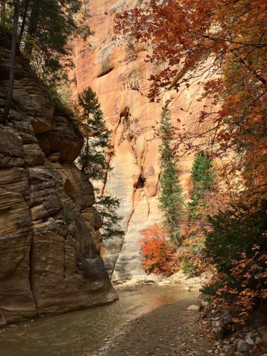 Fall foliage in The Narrows