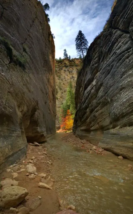 Fall foliage in The Narrows