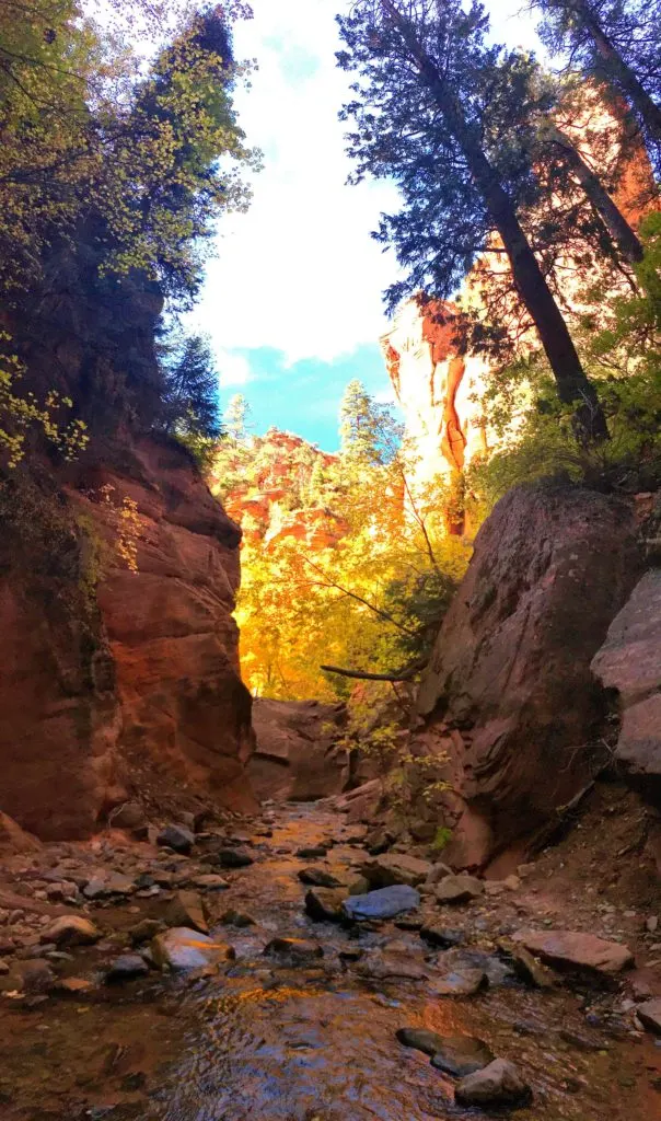 Beautiful fall colors on the Kanarra Creek Hike