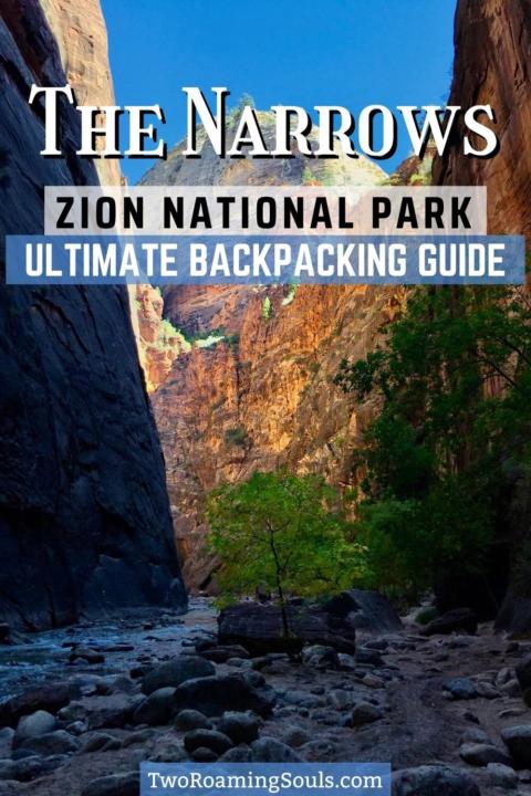 The Narrows Ultimate Pin