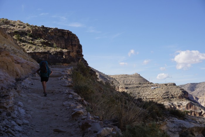 havasu falls hiking tours