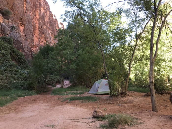 a tent at the campground for havasu falls