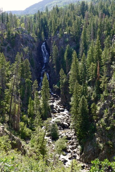 Fish Creek Falls from a far distance through the evergreen trees which is one of the best things to do in Steamboat Springs