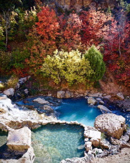 fall leaves in the background of the blue soaking pools at fifth water hot springs