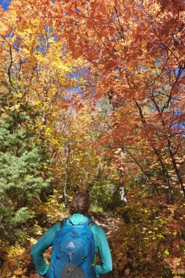 the beautiful fall colors on the fifth water hot springs hike