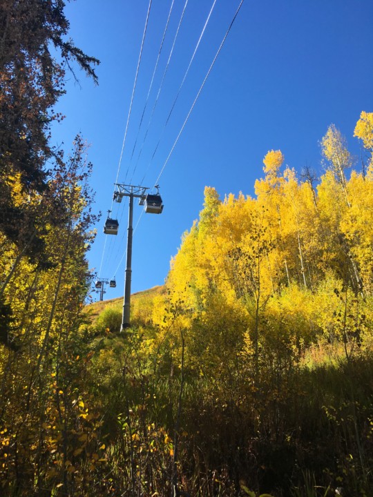 a view of gondolas from the ground during fall which resembles one of the most unique things to do in Vail in Summer