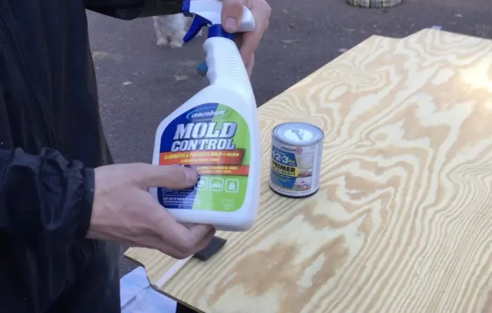 mold spray is a great way to prevent mold and mildew in a camper van