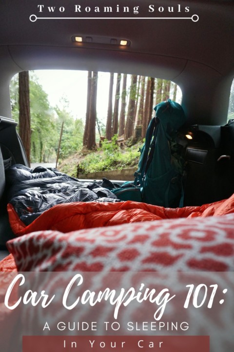 Car Camping 101: How to Sleep In Your Car (Safety Tips, What to Pack &  More) - TravelFreak