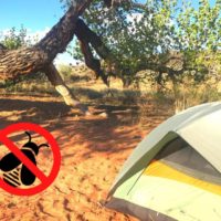 Tent in Utah with clipart stating no bugs allowed