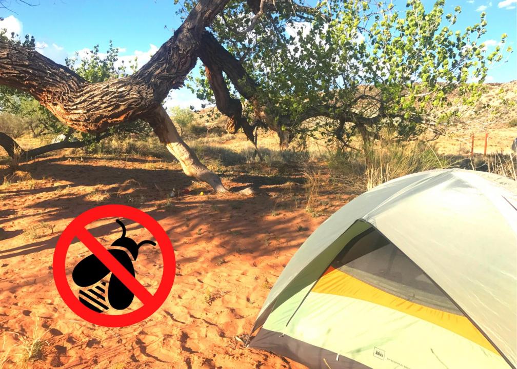 Tent in Utah with clipart stating no bugs allowed