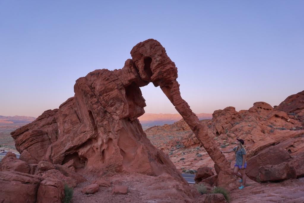 Emily petting the trunk of the elephant rock in valley of fire state park