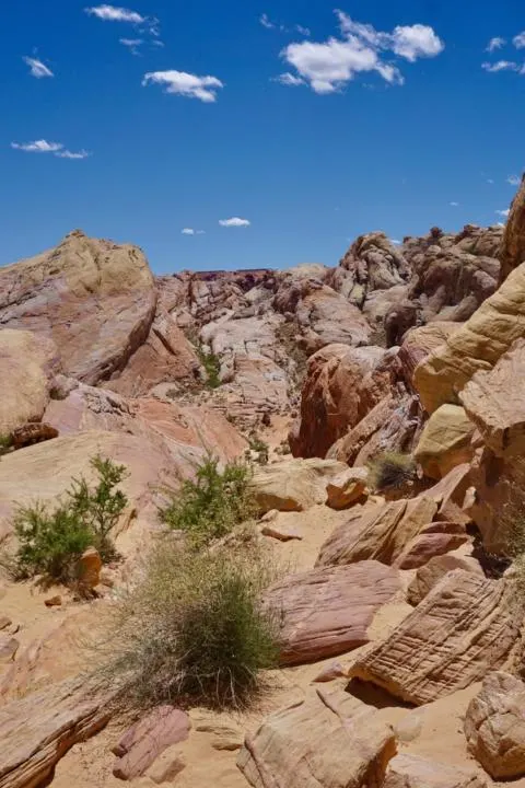 View from the top of white domes trail in valley of fire state park showing the rainbow colored rocks