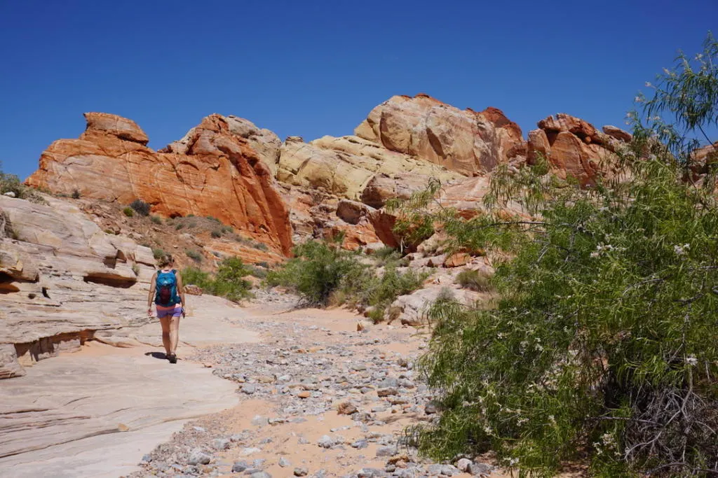 Emily walking through Seven Wonder's Trail in Valley Of Fire State Park