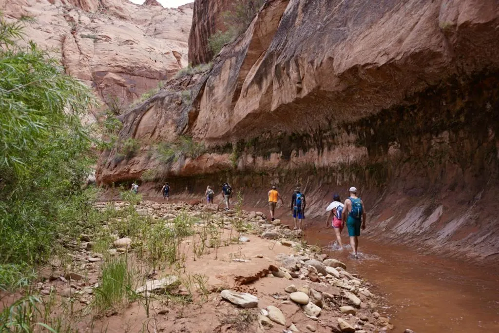 a group of hikers trekking in a canyon in their river hiking shoes
