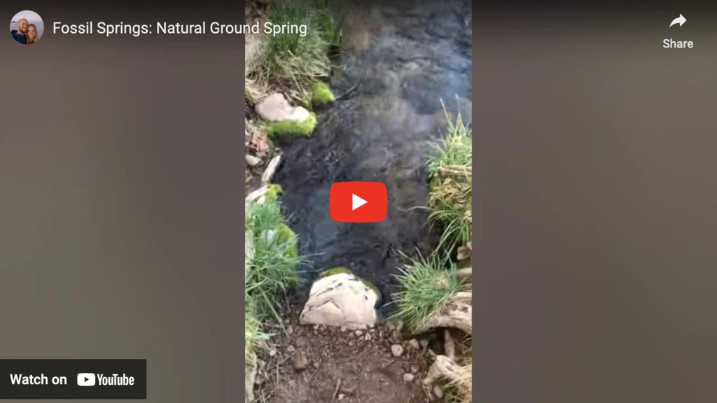 Fossil Creek Natural Ground Springs Youtube Video Link
