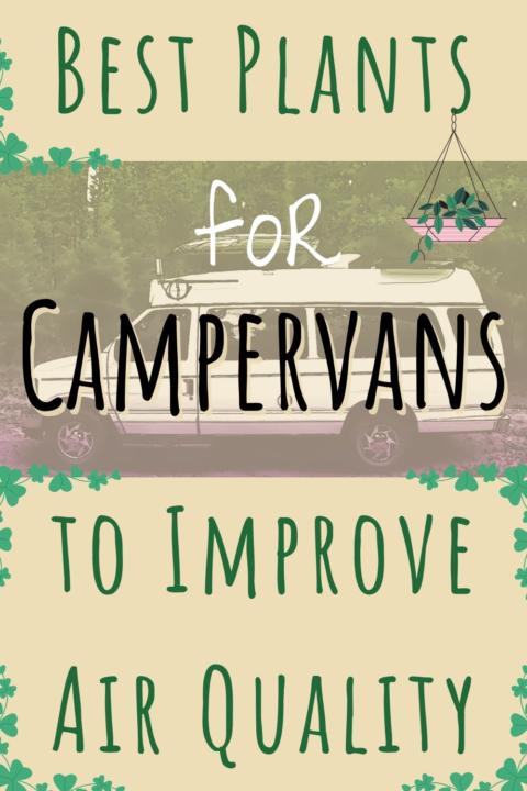plants for campervans pin