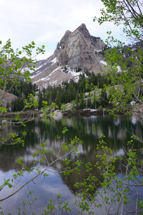 View of Sundial Peak Through Trees At Lake Blanche
