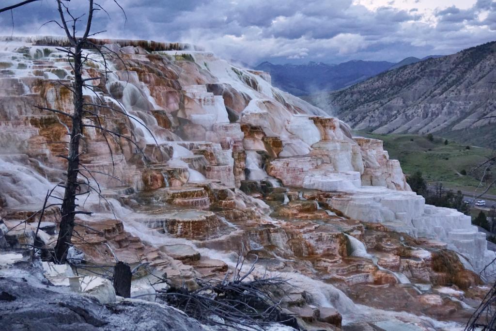 Canary Spring at Mammoth Hot Springs