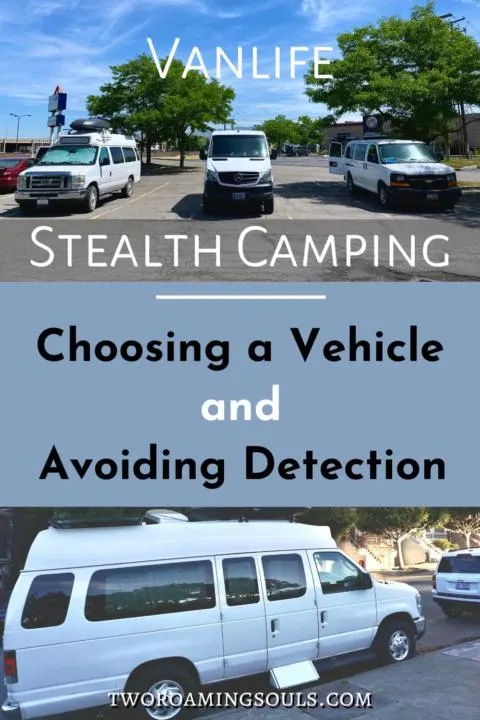 Stealth Camping Pin 2
