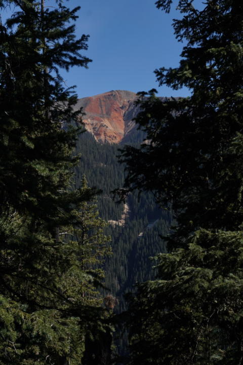 A view of a red mountain in the distance through the forest as you hike Columbine Lake