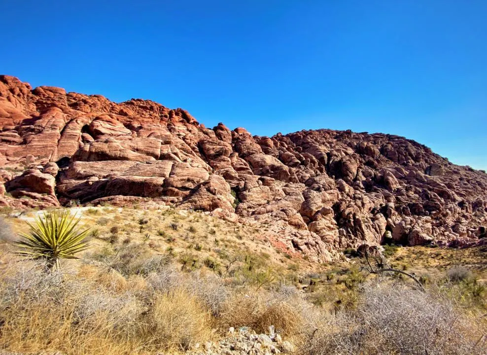 Calico Hills in Red Rock Canyon National Conservation Area