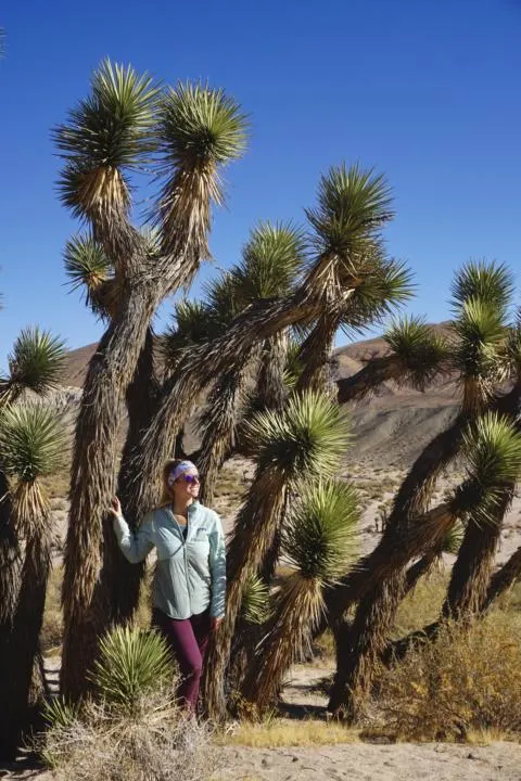 Emily posing in front of a Joshua Tree on Red Cliffs Trail inin Red Rock Canyon State Park