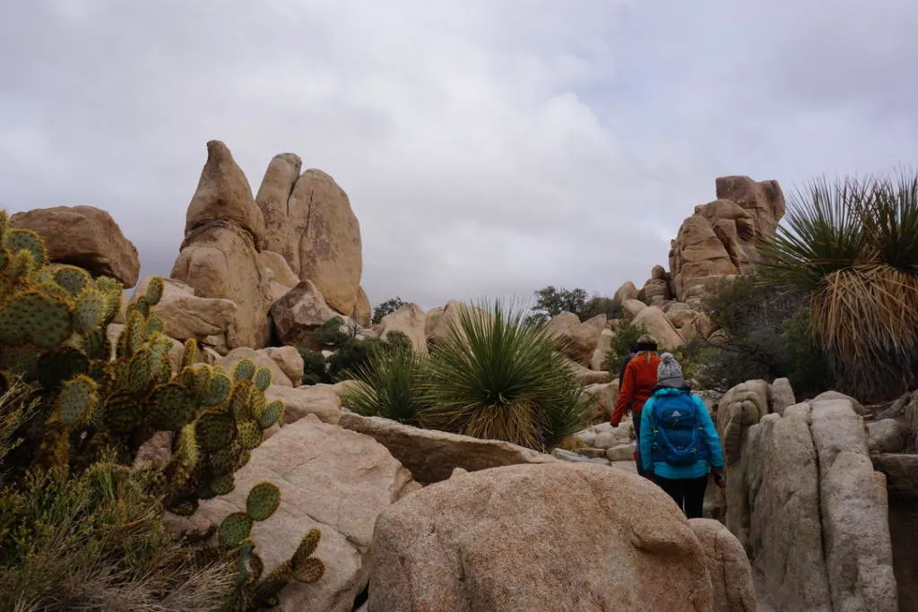 Hidden Valley Nature Trail in this Joshua Tree National Park 2 day itinerary