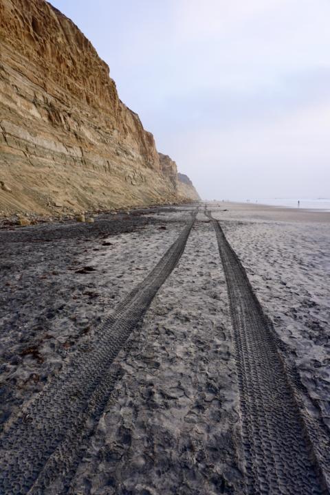 Tire tracks through the sand on a beach.