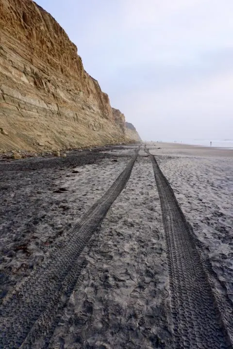 Tire tracks through the sand on a beach.