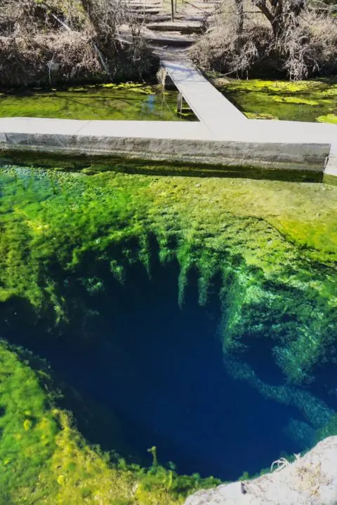 Jacob's Well a great stop along an adventurous texas Road Trip