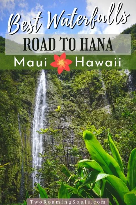 Best Waterfalls On The Road To Hana Pin