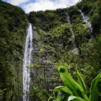 Waimoku Falls is one of the best waterfalls on the Road to Hana.