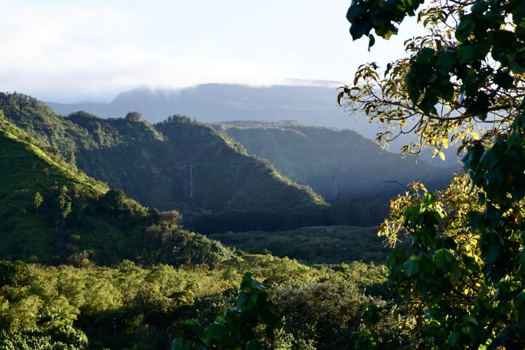 A Stunning Backdrop Along The Road To Hana of Wailua Valley State Wayside