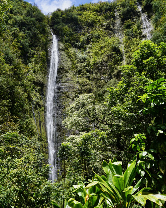 Waimoku Falls is one of the best waterfalls on the Road to Hana.
