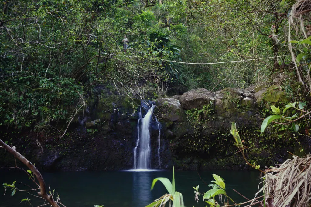 Haipua'ena Falls is a peaceful little lagoon early on the Road to Hana.
