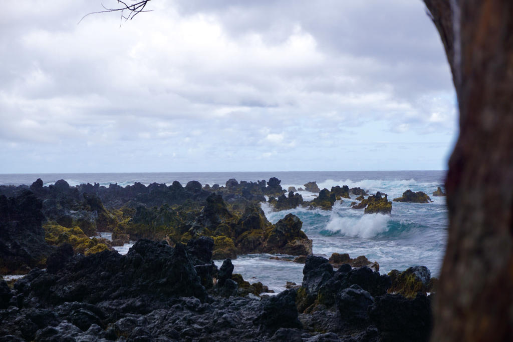 Looking out on crashing waves at the tip of the Ke'anae Peninsula.
