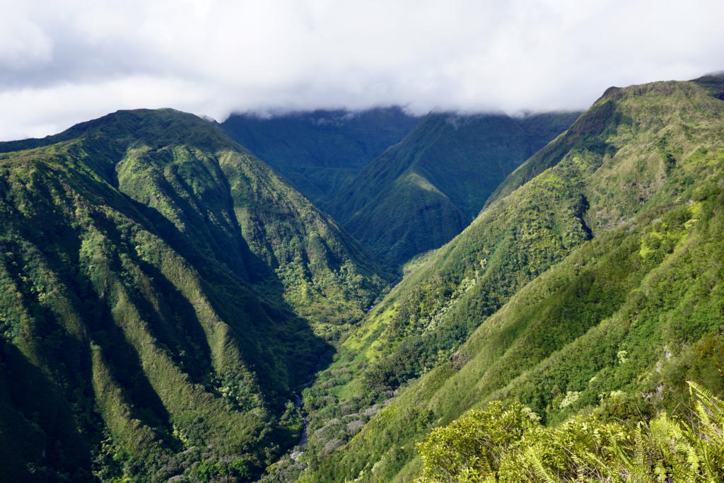 Views from the Waihee Ridge Trail, Maui Hawaii.
