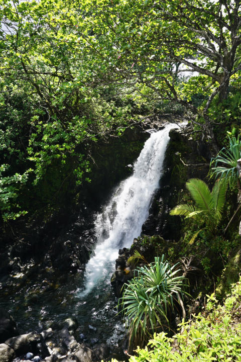 The large waterfall adjacent to the ocean at Nahiku Viewpoint.