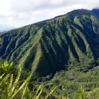 Views from the Waihee Ridge Trail.