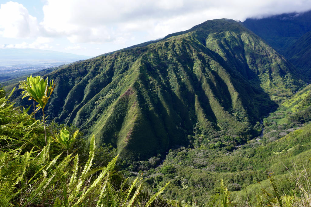 Waihee Ridge Trail | Ridgeline Hike In Maui - tworoamingsouls