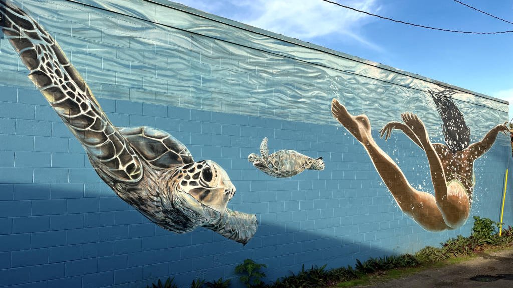Sea Turtle Mural - Paia, Maui