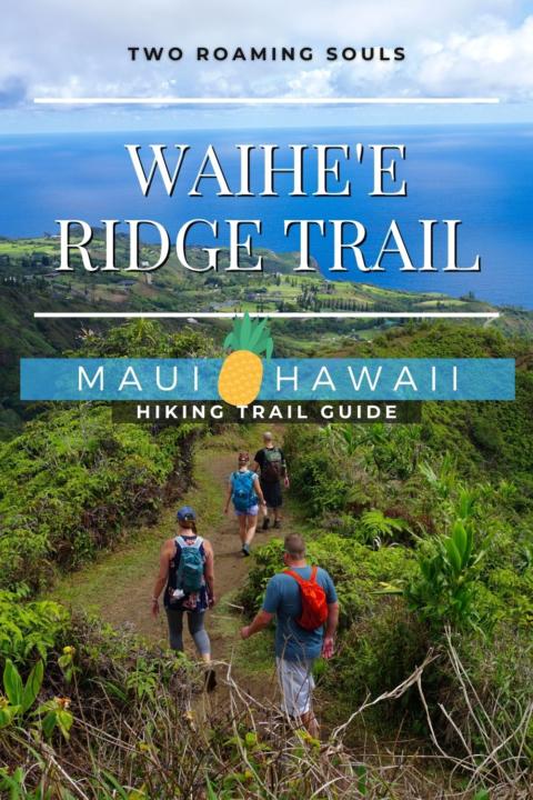 Waihee Ridge Trail Pin 1