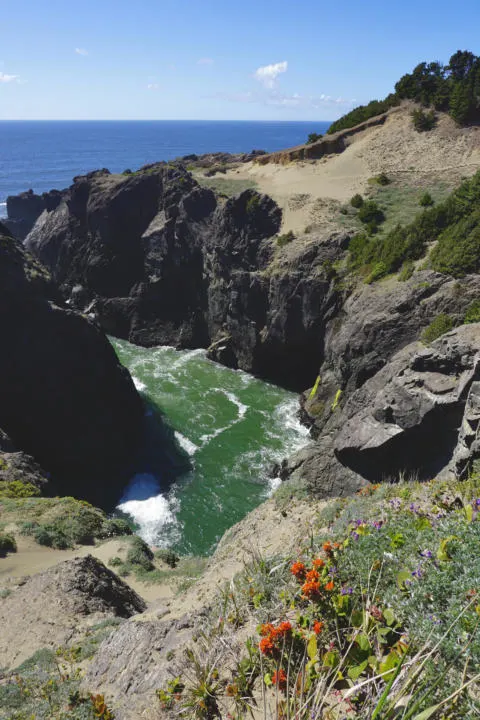 Looking down the massive cliffs on Indian Sands Trail on the Samuel H. Boardman State Scenic Corridor.