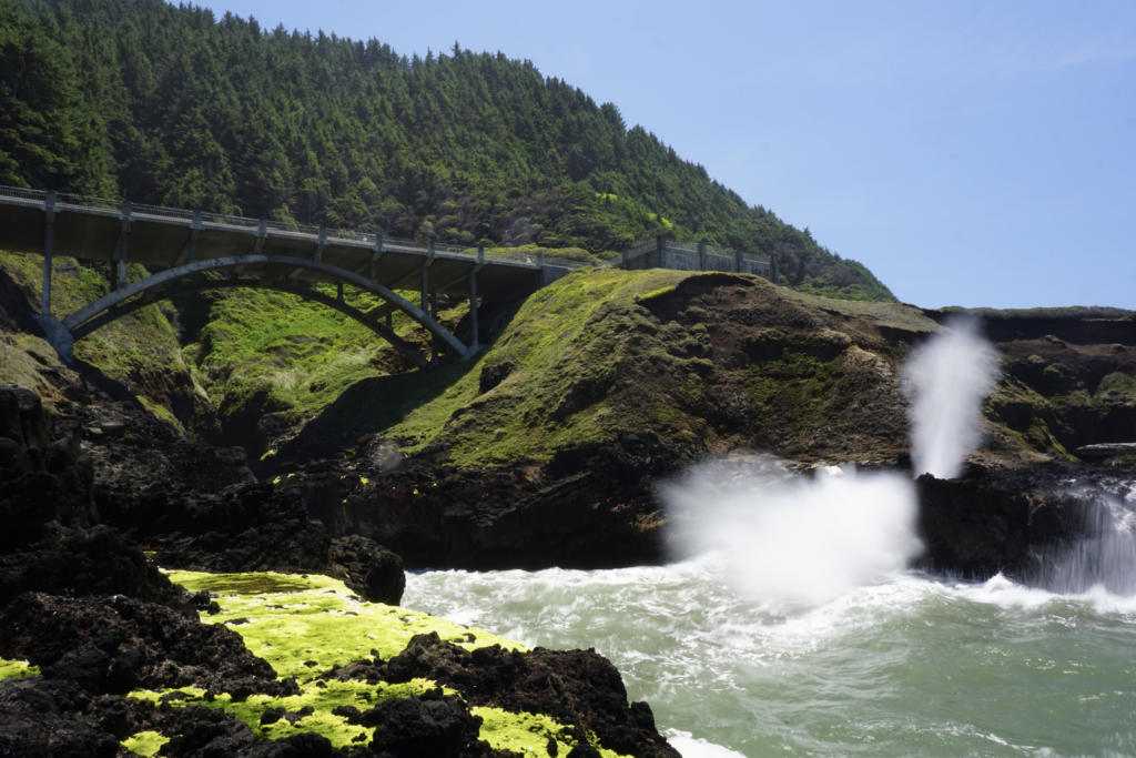 A view of Spouting Horn w/ beautiful greenery & bridge near Yachats, Oregon is one of the top things to do in Yachats, Oregon