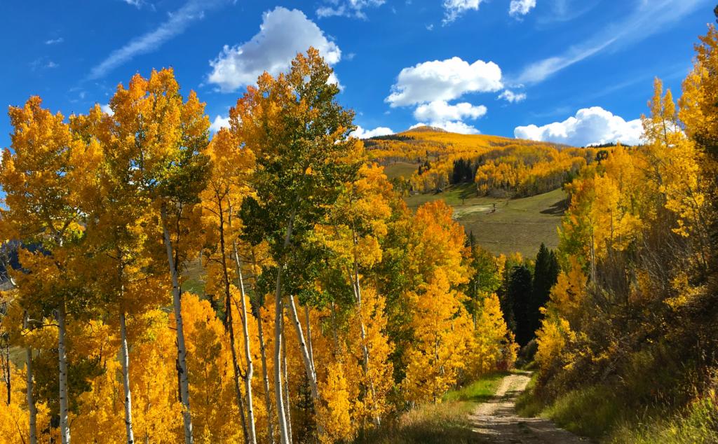 Strawberry Lane Trail is one of the best fall hikes in Vail to see aspen trees.