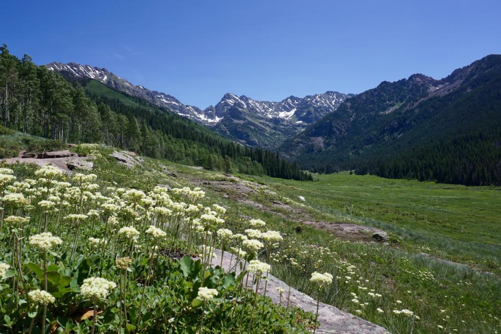 The beginning of Upper Piney River Falls Trails, looking at the Gore Range. Best hikes in Vail.