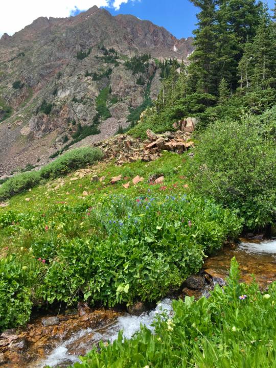 Wildflowers, streams, and mountain peak at the top of Bighorn Creek Trail. Best Hikes in Vail.