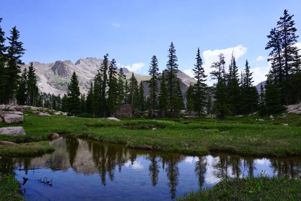 An alpine meadow right next to Gore Lake.